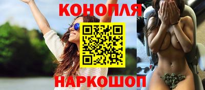 a pvp Кингисепп