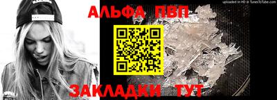 a pvp Кингисепп