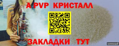 a pvp Кингисепп