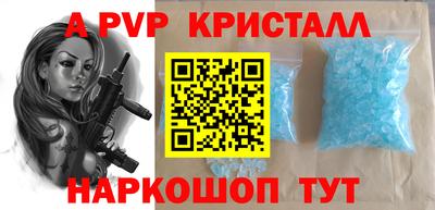 a pvp Кингисепп