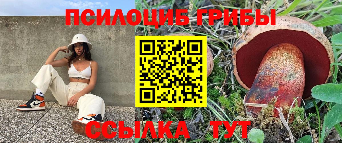 Галлюциногенные грибы Cubensis  Вход с VPN  Истра 